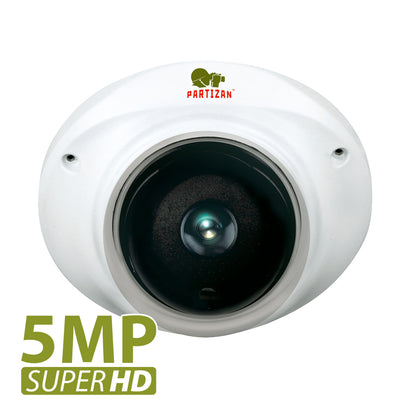 5Mp fix focus IP camera IPD-5SP VP Cloud v1.1
